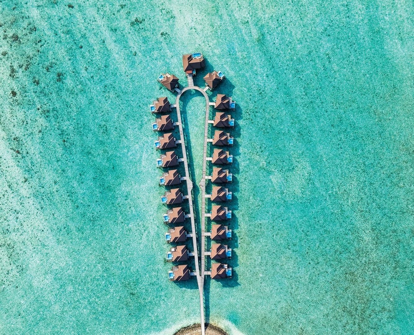 Gallery image - Image 4