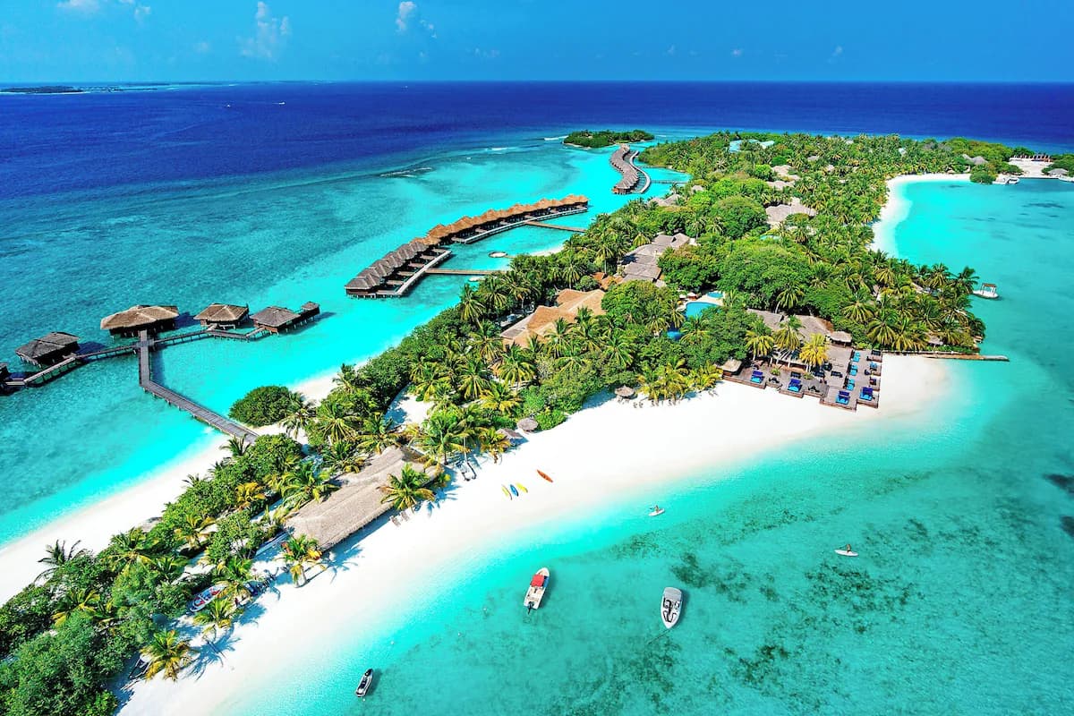 Gallery image - Image 1