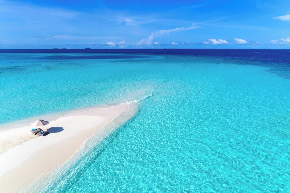 Gallery image - Image 2