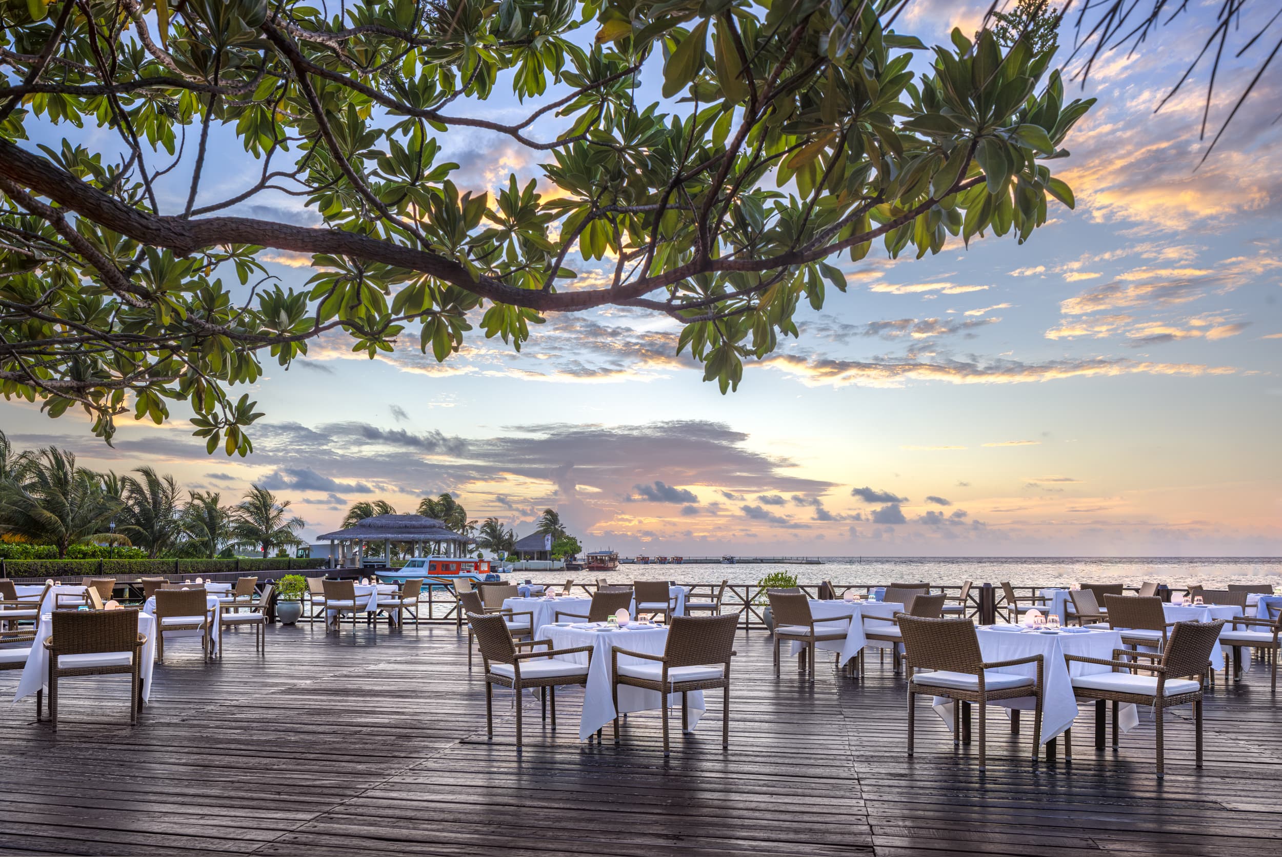 Gallery image - Image 3