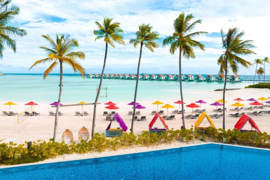 Gallery image - Image 11