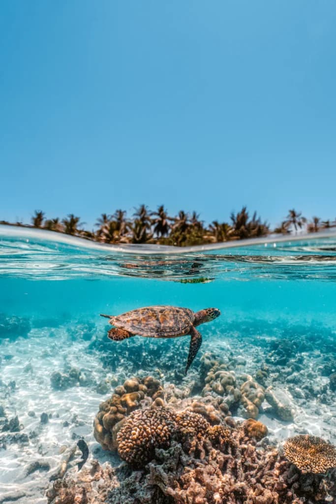 Raffles Maldives Meradhoo