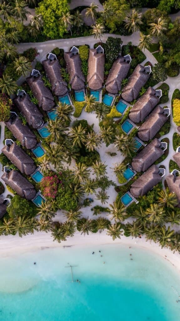 Gallery image - Image 5