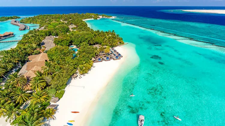 Gallery image - Image 7