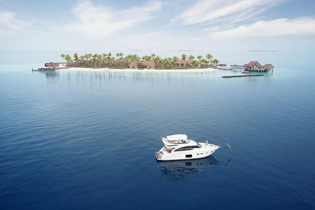 Gallery image - Image 5