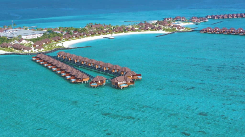 Gallery image - Image 7