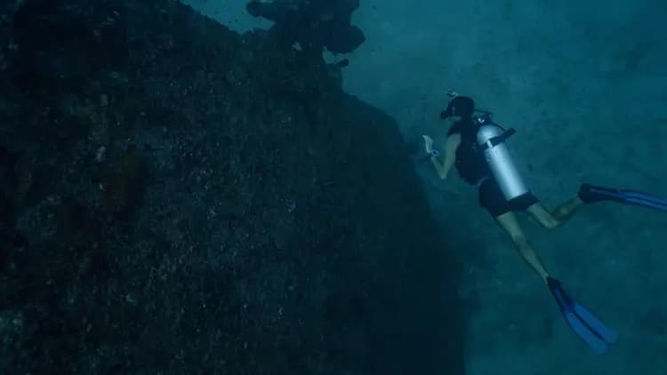 PADI Gold Palm 5-Star Resort Dive Centre