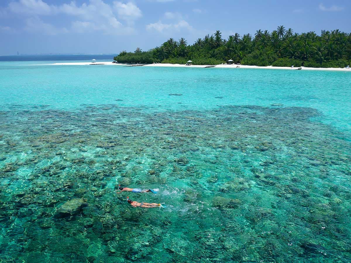 Snorkeling & House Reef