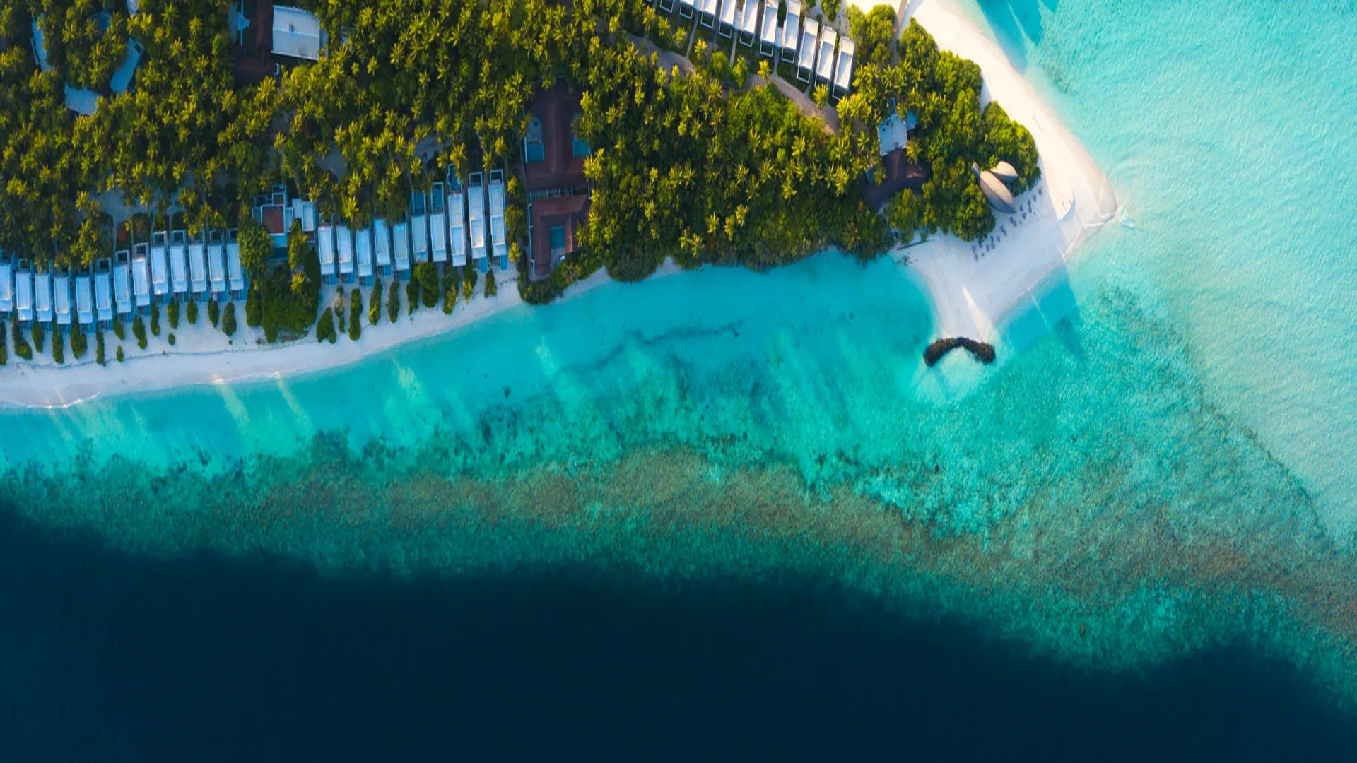 Maldives Paradise